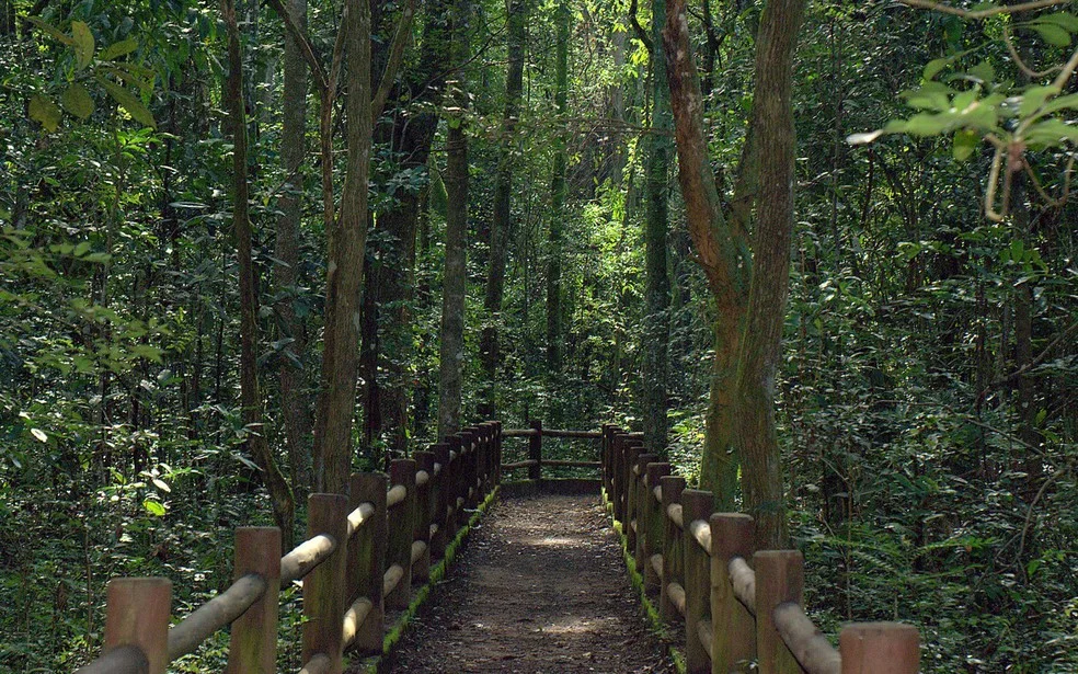 Vegetação do Parque Nacional, em Brasília