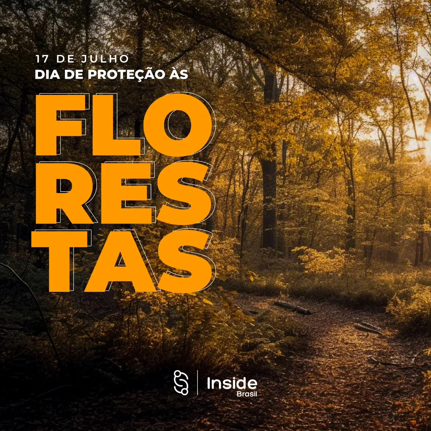 Publicação do Instituto Inside Brasil no Instagram