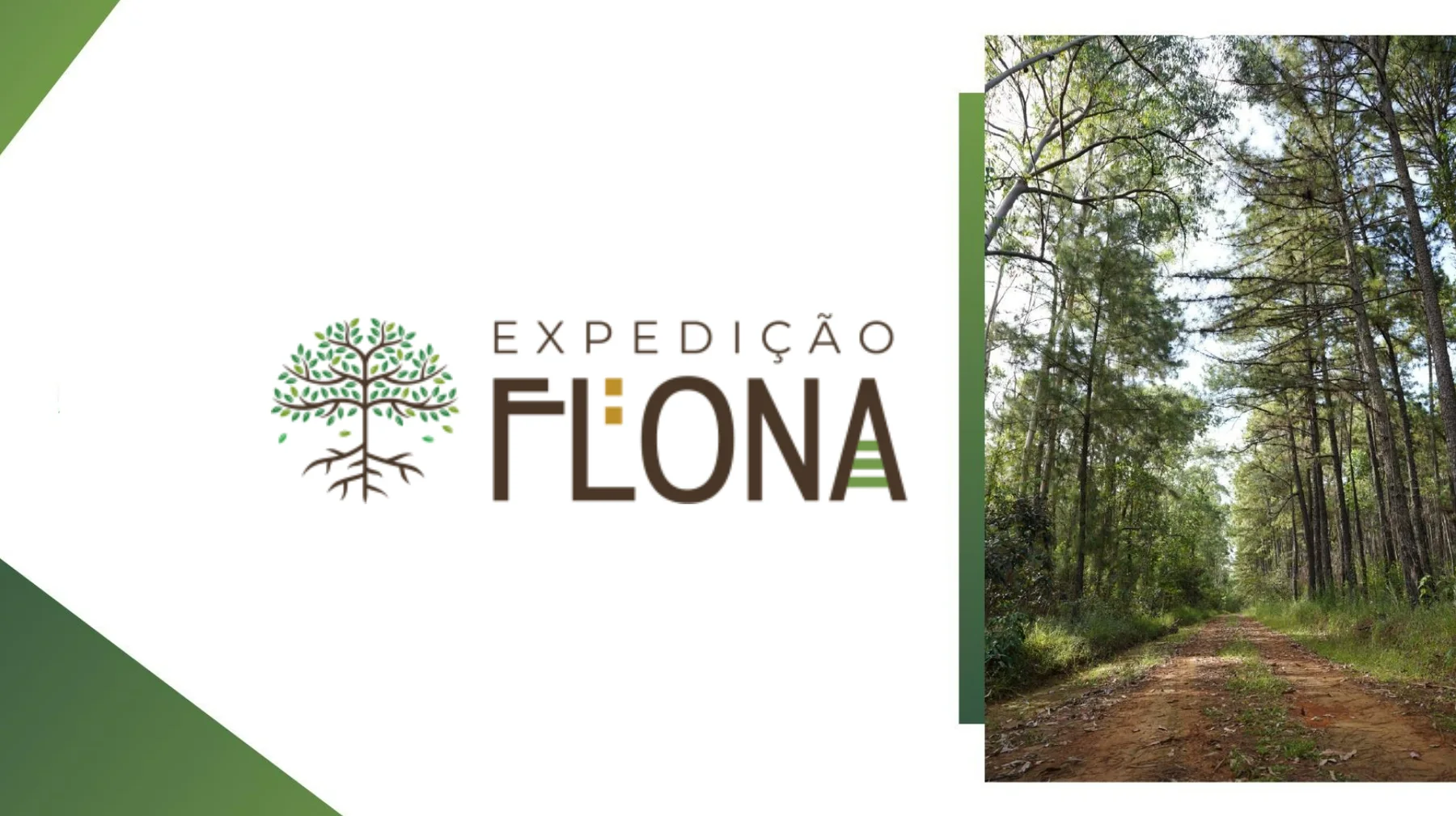 Expedição Flona